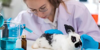 Brasil reinclui métodos sem uso de testes em animais em estratégia científica após pressão da sociedade