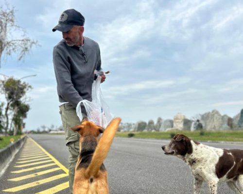 Ultra triatlo no Brasil une esporte extremo e apoio a abrigos de animais