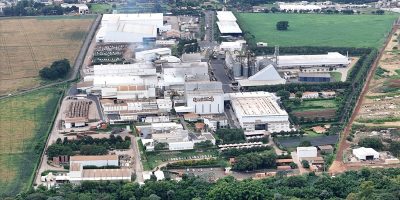 Special Dog Company amplia atuação no Norte e Nordeste e mira distribuição de 1,2 mil toneladas por mês