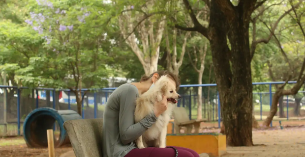 cachorro no tempo