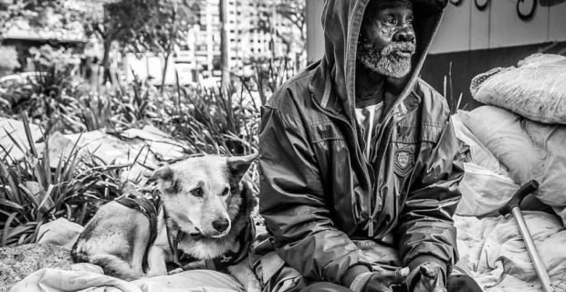 Ong realiza ação de natal para pets e moradores de rua do Brasil