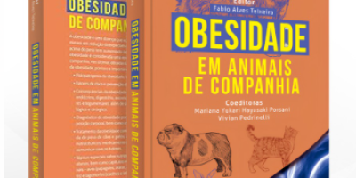 lançamento livro