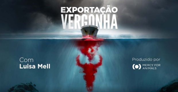 Exportação Vergonha