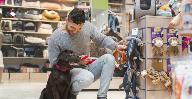 crédito para setor pet