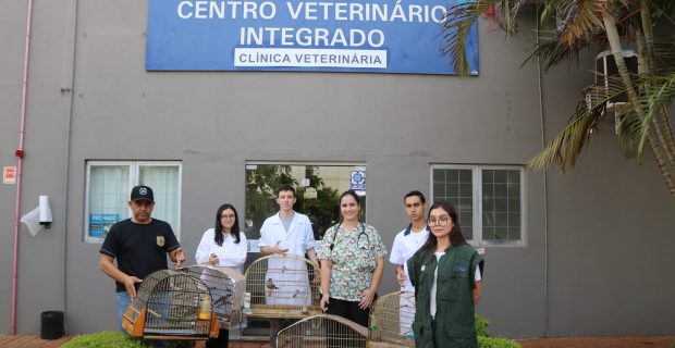 foto-equipe