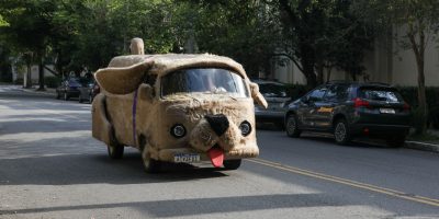 Campanha com Petcar para blackfriday chama atenção nas ruas