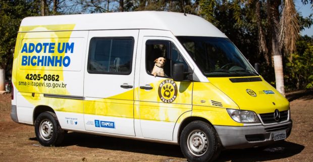 abrigo animais e moradores de rua