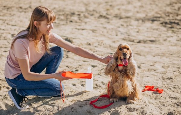 Veterinária dá dicas de cuidados com os pets na praia