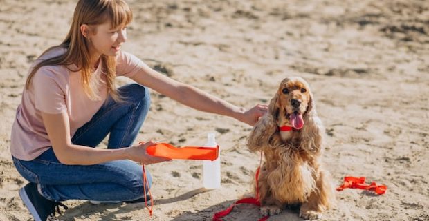 Veterinária dá dicas de cuidados com os pets na praia