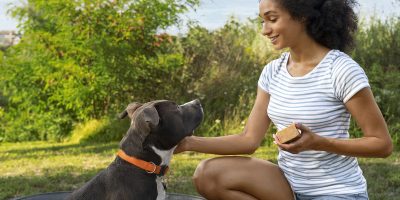 Estudo revela que ter um pet pode melhorar a saúde cardiovascular