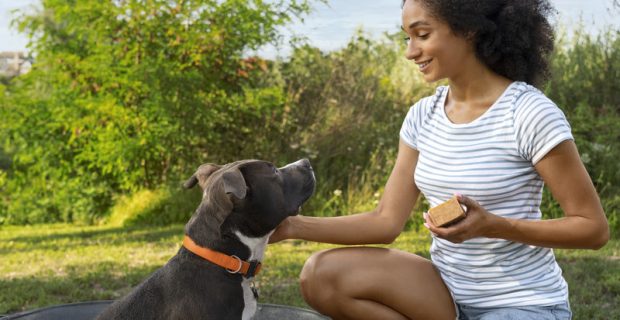 Estudo revela que ter um pet pode melhorar a saúde cardiovascular