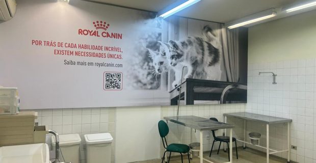 Parceria entre Royal Canin e Hospital Veterinário da USP progride com melhorias para gatos