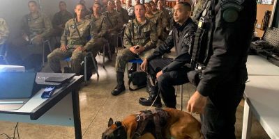 Soldados da Força Aérea Brasileira realizam instrução com cães de guerra