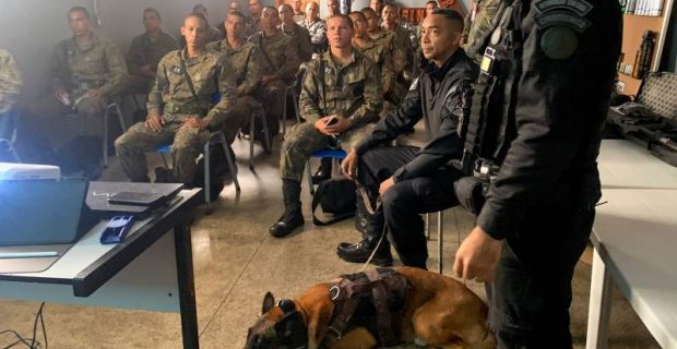 Soldados da Força Aérea Brasileira realizam instrução com cães de guerra