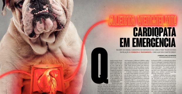 vermelho-1540478738