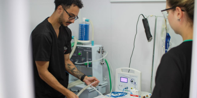 veterinária