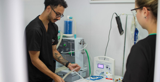 veterinária