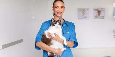 Médicos-veterinários do Reino Unido estão entre os mais bem pagos da Europa