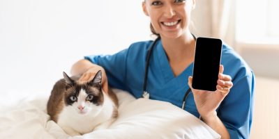 Da clínica ao feed: como as redes sociais fortalecem a atuação do médico-veterinário