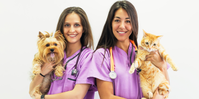 veterinárias