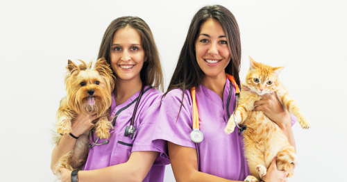 veterinárias