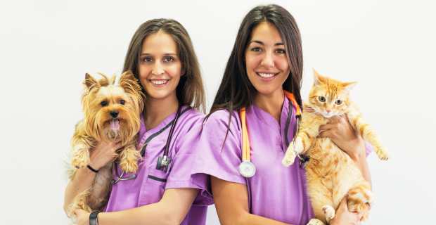 veterinárias
