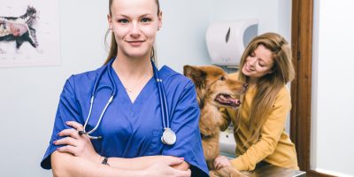 Veterinary doctor portrait