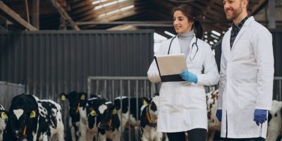 Campanha global destaca atuação “invisível” de médicos-veterinários e reforça importância da profissão