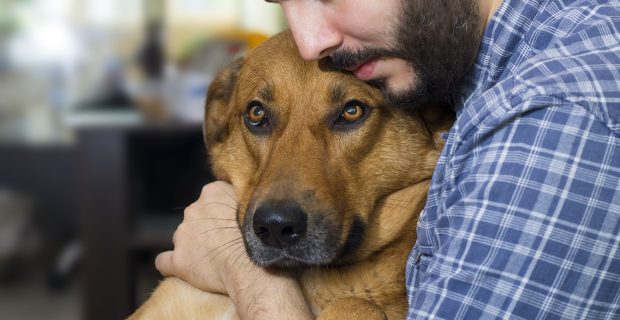 cachorro abraçado