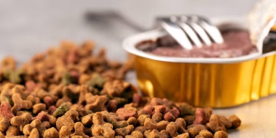 Gelatina volta ao radar para formulações de alta proteína e baixo carboidrato