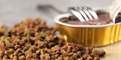 Mix feeding: a mistura de secos e úmidos no manejo nutricional de cães e gatos