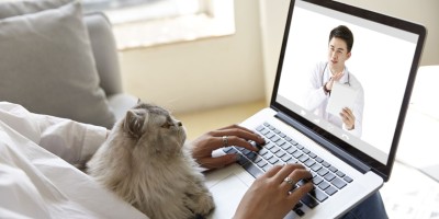 Telemedicina veterinária: entenda como funciona o atendimento