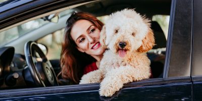 young caucasian woman with her poodle dog in a car. Travel concept. Lifestyle and pets