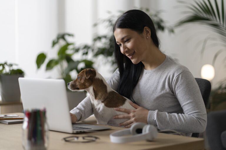 O que você precisa saber antes de contratar um seguro saúde pet