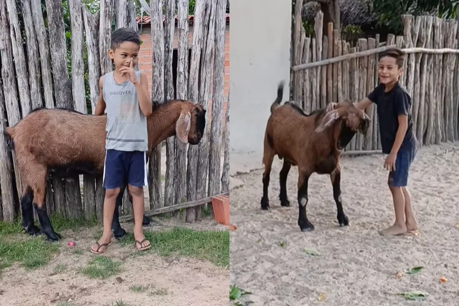 Amizade entre menino e bode viraliza e vira livro que deve chegar às escolas