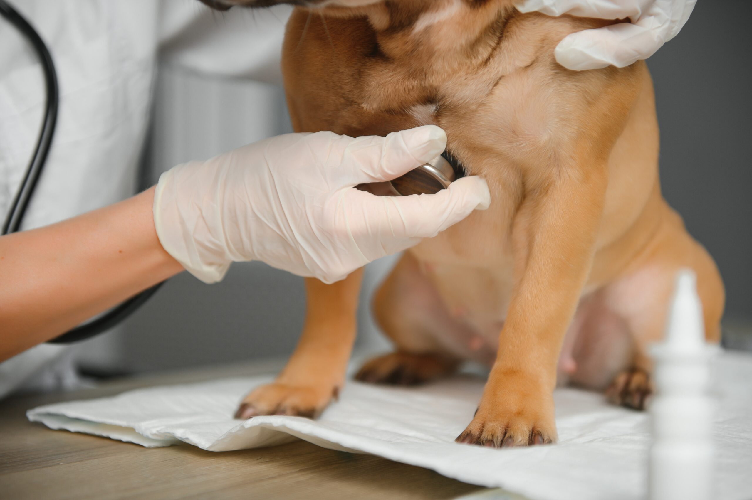 exames de rotina na prevenção de doenças