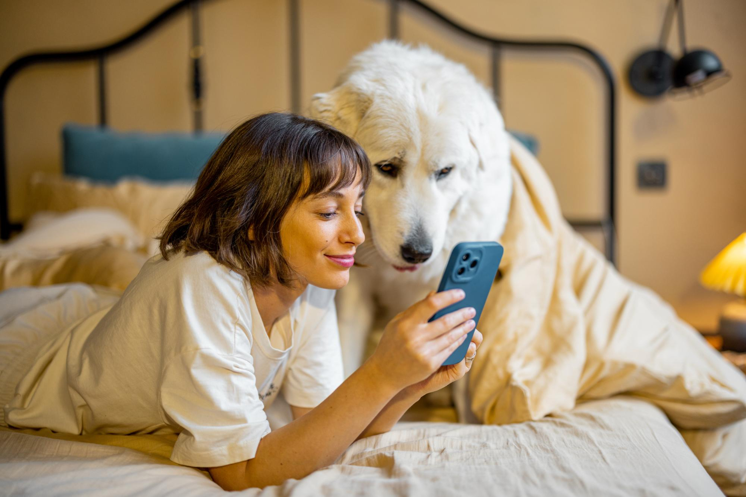 Excesso de telas pode afetar a relação entre responsáveis e pets? Entenda os impactos