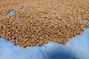 fábrica ração cachorro