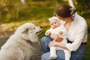Cachorros podem sentir ciúmes? Entenda o que está por trás do comportamento