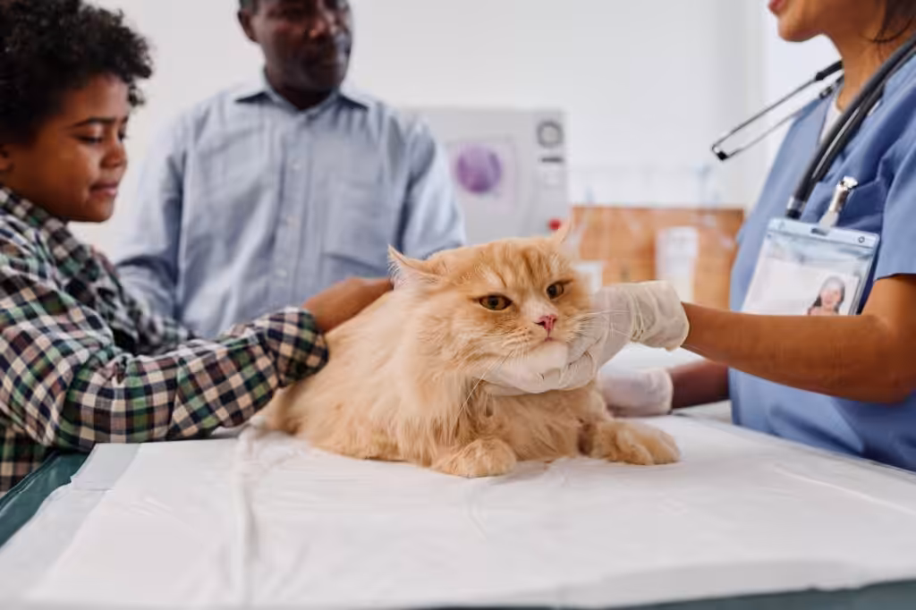 Family With Cat At Vets