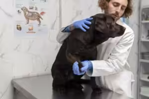 Tomografia e ressonância: quando cada exame oferece o melhor diagnóstico