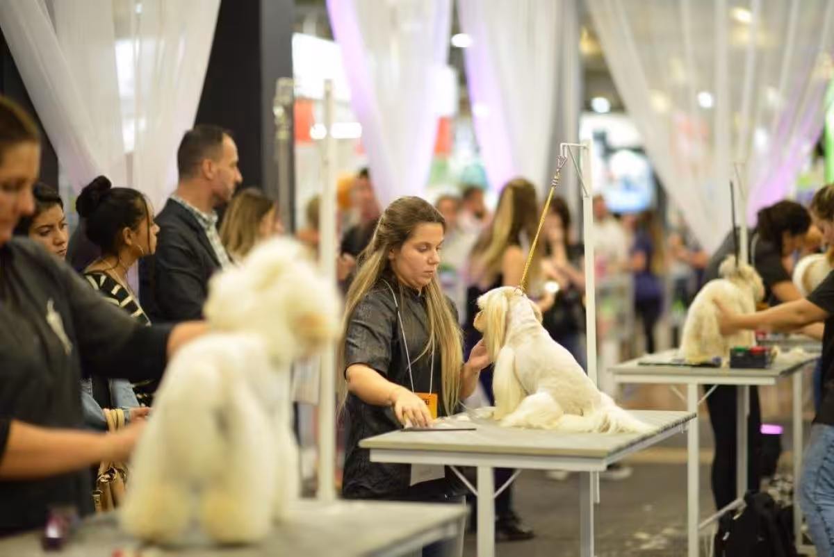Feipet traz palestras e workshops gratuitos para profissionais 
