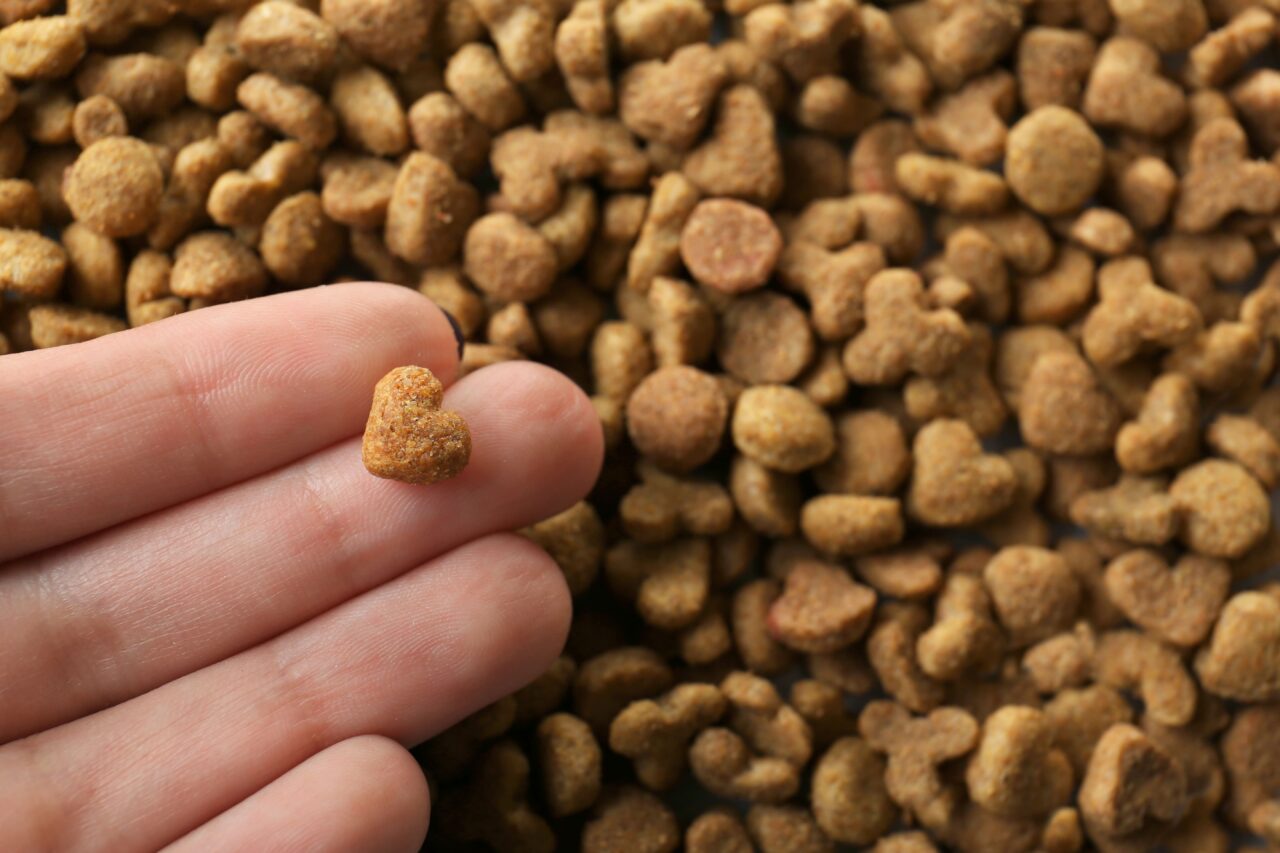 Ingredientes premium impulsionam avanço da nutrição pet