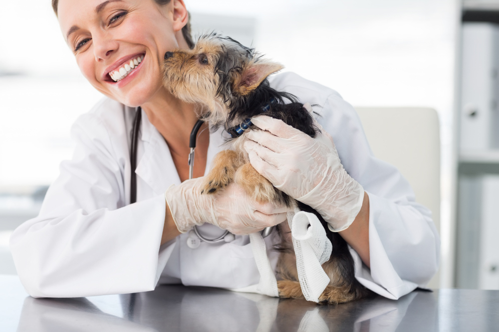 dia da medicina veterinária