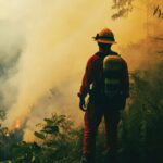 Super El Niño pode intensificar queimadas e colocar fauna brasileira em risco
