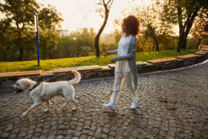 Como manter os pets confortáveis e saudáveis nos dias quentes?