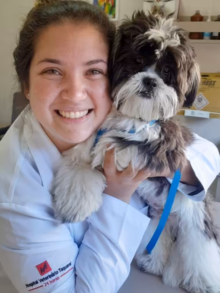 socialização de pets