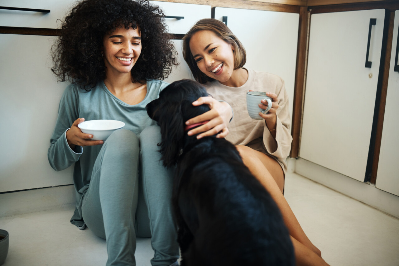 Pets em primeiro lugar: gastos com animais crescem e refletem mudança no comportamento das famílias