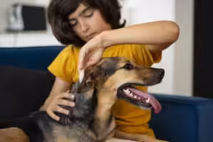 Alergia de contato em pets: entenda como deve ser o manejo clínico e o diagnóstico