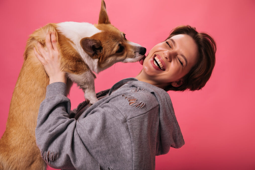 Olhar fotos de animais fofinhos deixa as pessoas mais felizes e produtivas,  segundo estudo